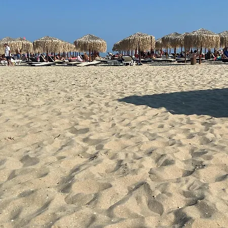 Phoenix феникс Daire Sveti Vlas