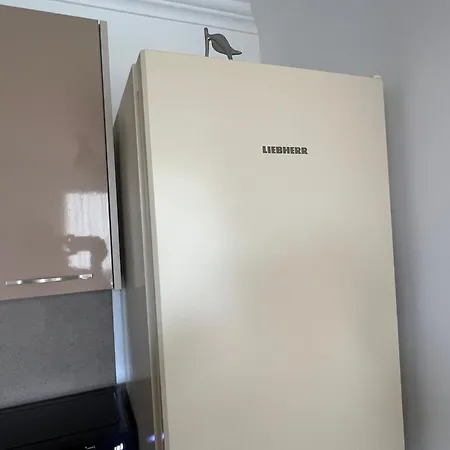 Phoenix феникс Apartment